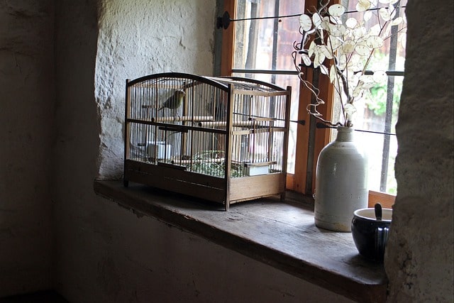 Jaula en el quicio de una ventana con un pájaro dentro